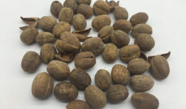 吃瓜爆料小巴豆怎么做,独家爆料背后的故事