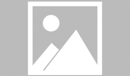 鹦鹉叫声视频,鹦鹉鸣叫声中的自然旋律